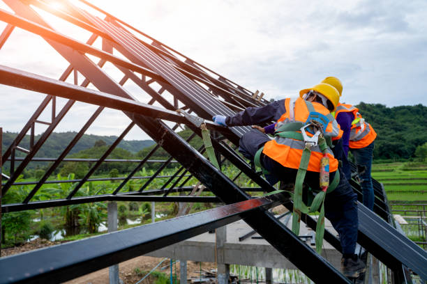 Best Sealant for Roof  in Severance, CO