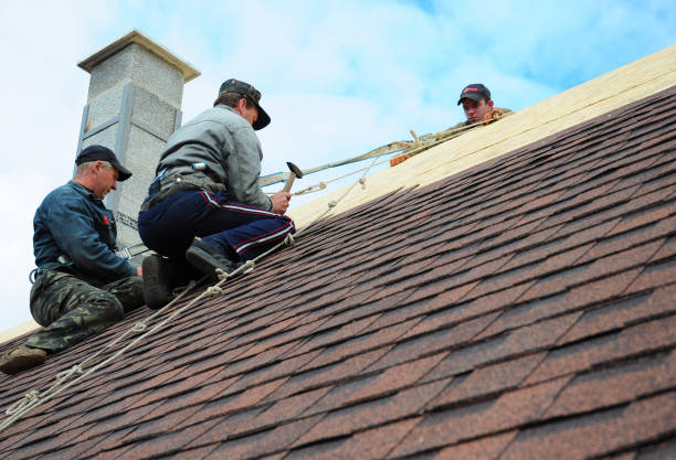 Best Roof Repair Services  in Severance, CO