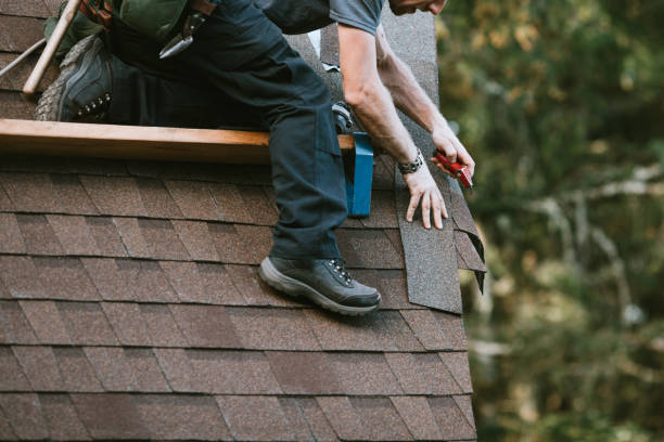 Best Roof Maintenance Services  in Severance, CO
